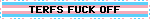 A blinkie with the text 'TERFS FUCK OFF' with the trans flag in the background.
